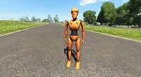 BeamNG dummy
