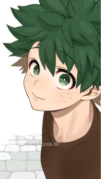 Midoriya Izuku 
