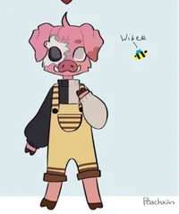 Kidnapper awesamdude