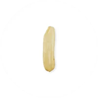 Grain of Rice