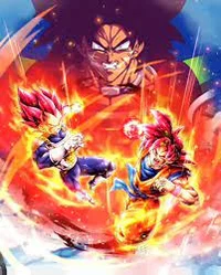 Goku and Vegeta