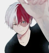 Shoto todoroki 
