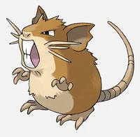 Raticate