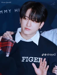Seo changbin skz