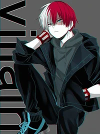 Shoto todoroki 