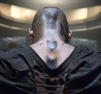 00- grounders