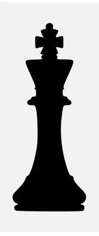 Chess king