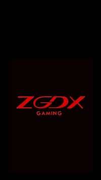 ZGDX