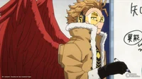 Hawks