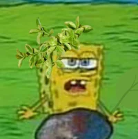 leaf spongebob