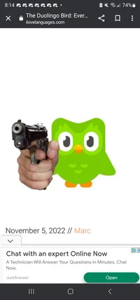 Duolingo