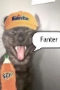 Fanter cat