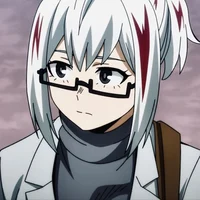 Fuyumi Todoroki 