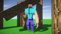 Steve from minecraft