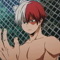 Shoto Todoroki