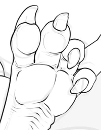 Paw cleaning Service