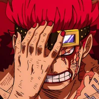 Eustass kidd