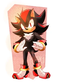 Shadow The Hedgehog