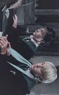 Harry y Draco