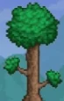 Terraria