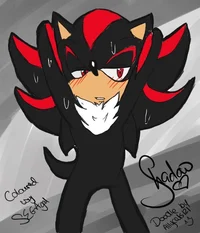 Shadow The Hedgehog 