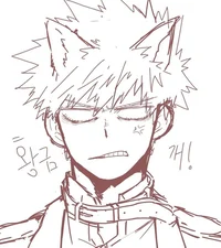 Bakugou katsuki 