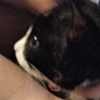 The villain and hero