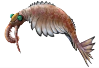 Anomalocaris