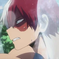 Todoroki shoto 