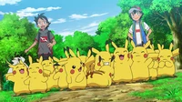 Pikachu Sanctuary 