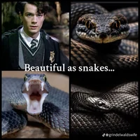 Tom riddle