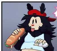 wakko