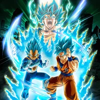 SSGSS goku n vegeta