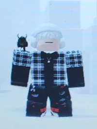 Basty_roblox