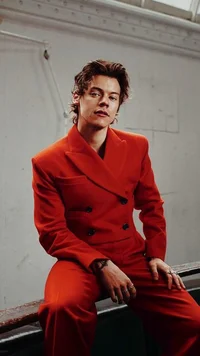 Harry Styles 