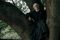 Draco Malfoy