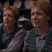 Weasley Twins