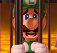 Luigi NEW 