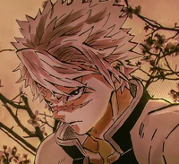 Sanemi Shinazugawa 