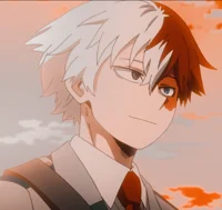 Shoto Todoroki