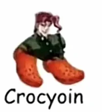 Crocyoin