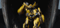 Bumblebee-ROTB