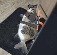 gunner fish cat