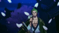 Zoro Roronoa