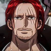 Shanks