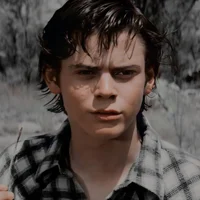 Ponyboy Curtis
