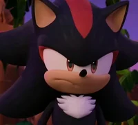 Shadow the hedgehog 