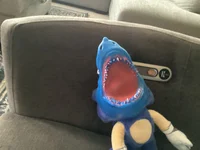 Sonic the sharkhog