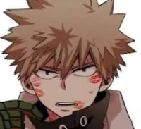 Killer bf bakugo