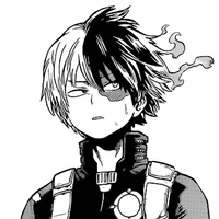 Shoto Todoroki 
